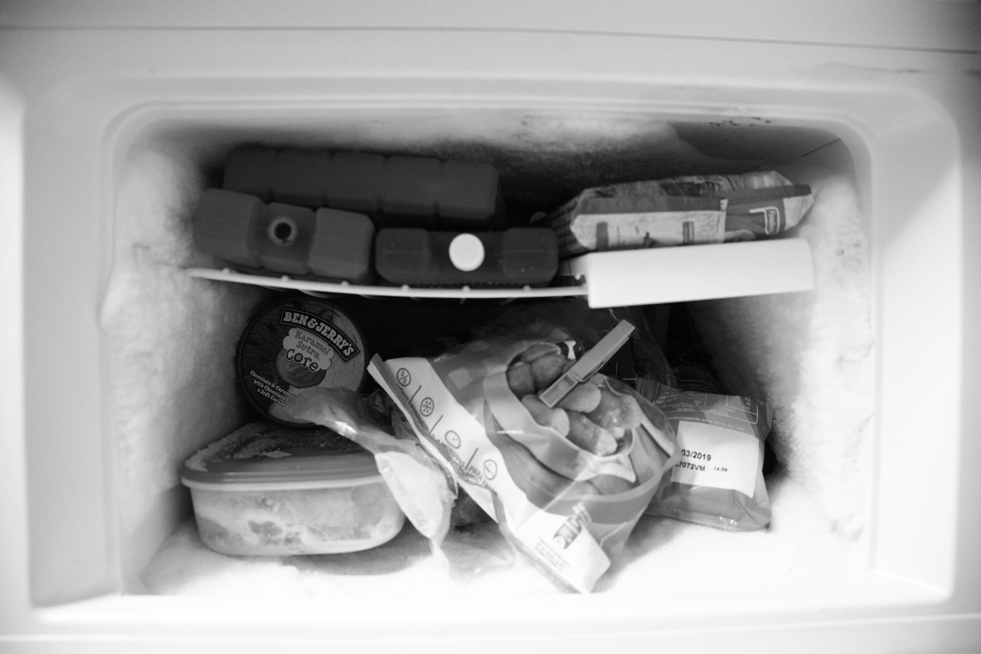 freezer food